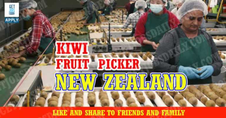 Kiwi Picking Worker Is New Zealand