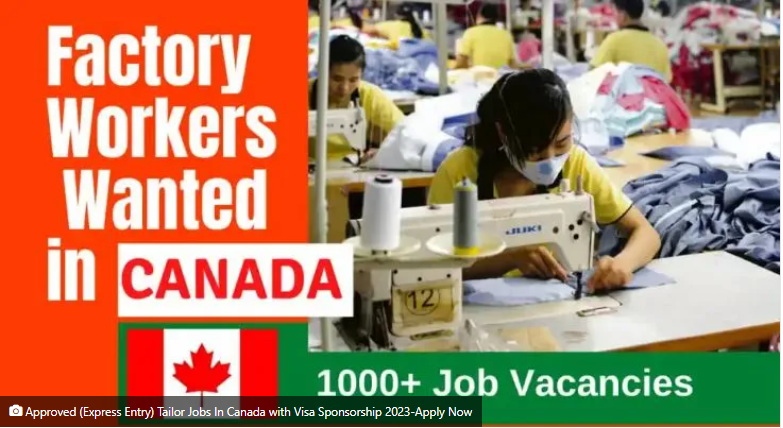 Approved Express Entry Tailor Jobs in Canada