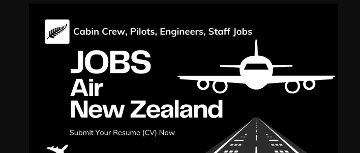 Air New Zealand Jobs 2023 - Pursuing a Career as Cabin Crew