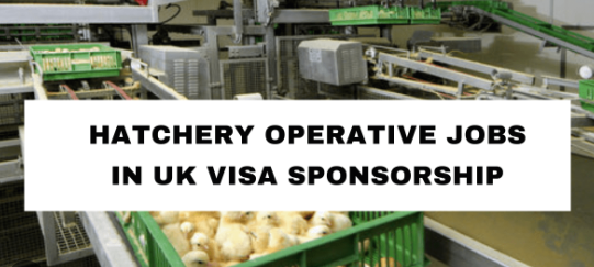 Hatchery Operative Jobs in UK Visa Sponsorship